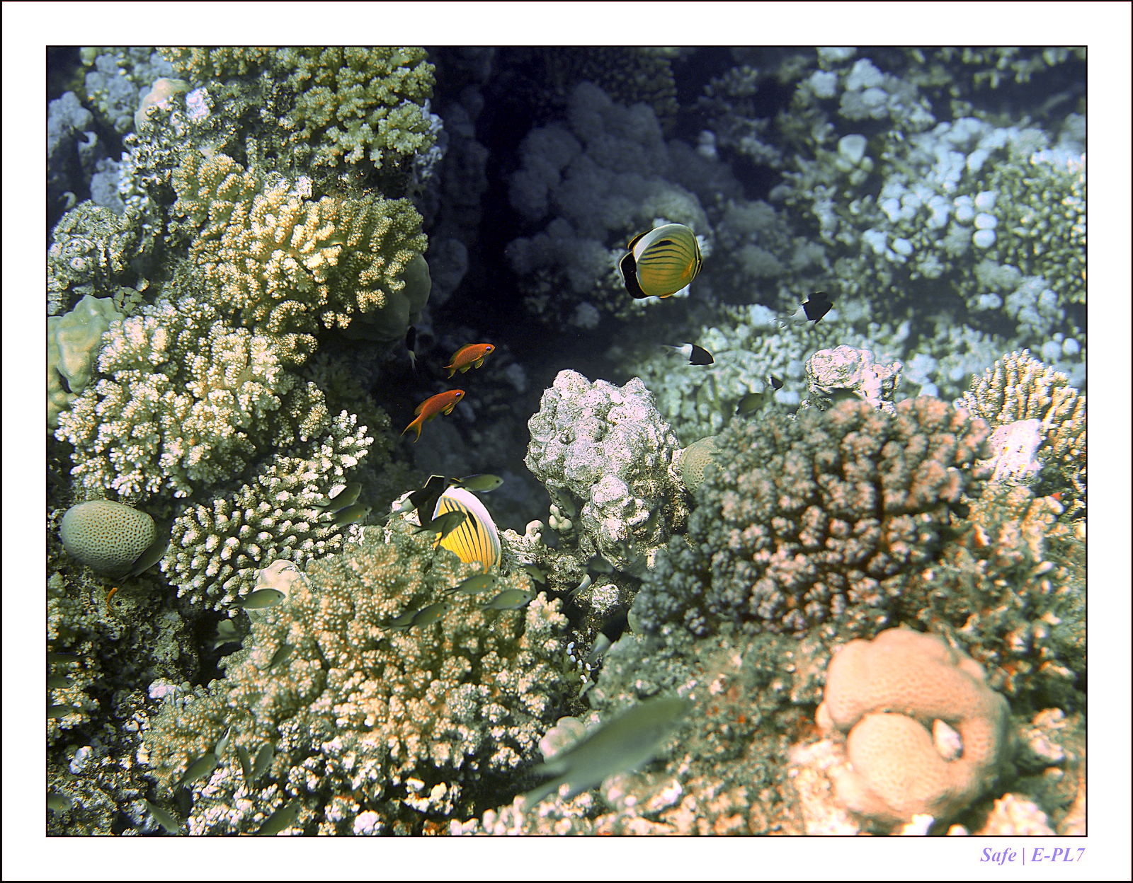 Hurghada - Juillet 2021 - 069